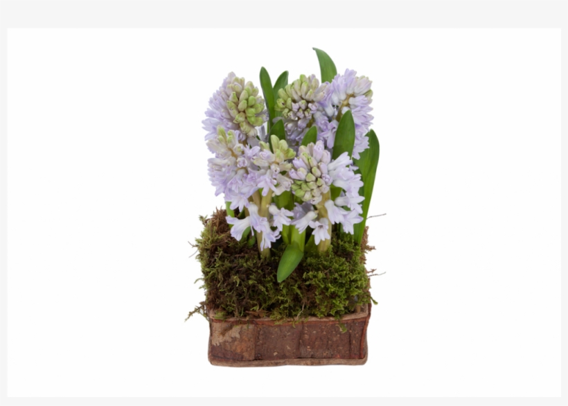 0029 Lady Lavender - Bouquet, transparent png