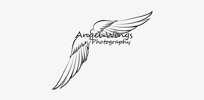 Angel Wings Photography Logo - Photography Logos With Wings, transparent png