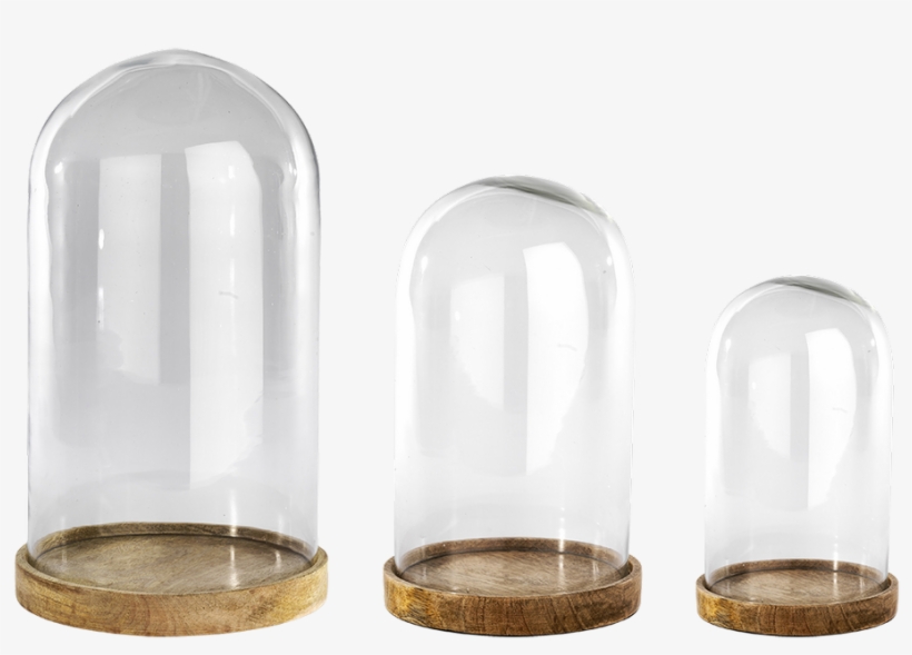 Inu Glass Decorative Dome, transparent png