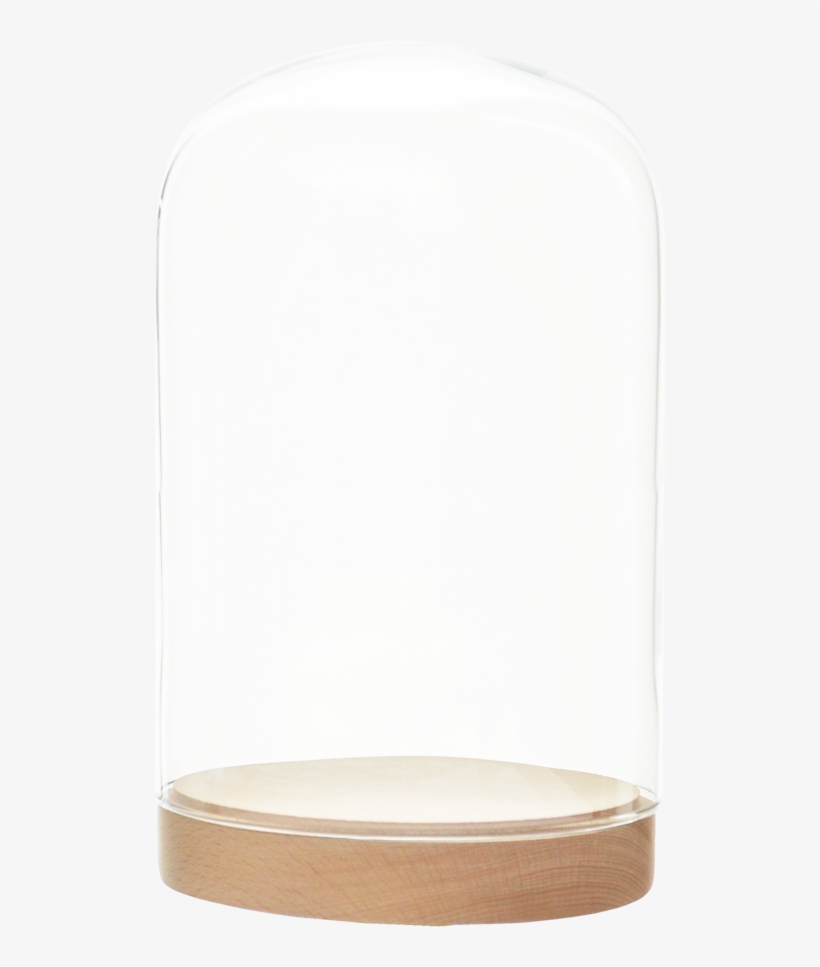 Pleasure Dome Bell Jar Large - Lampshade, transparent png