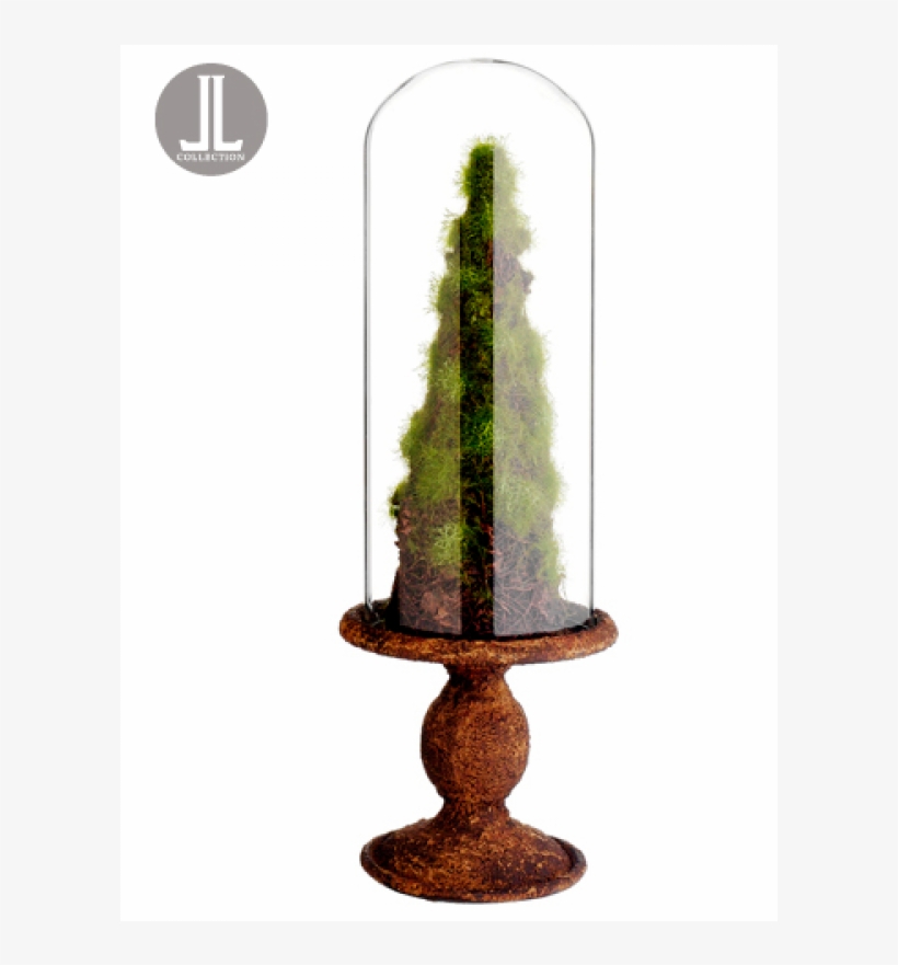 17" Moss/twig Cone Topiary In Glass Dome Green Brown, transparent png