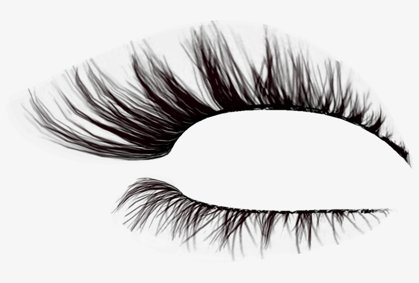 Pestañas Png Para Photoscape - Eyebrows Png, transparent png