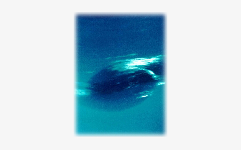 One Of These Lasted For A Few Years And Was Called - Neptune Planet Close Up, transparent png