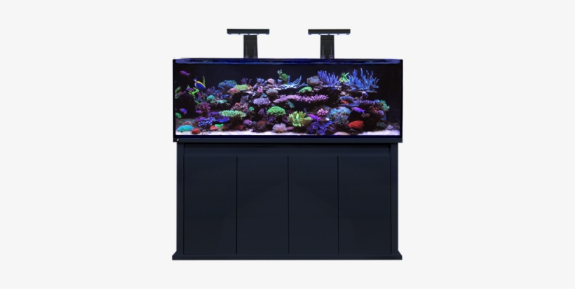 D D Reef Pro 1500s Black - Dd Reef Pro 1500, transparent png