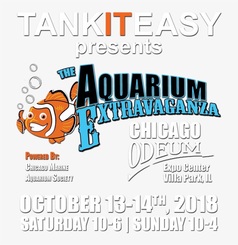 Aquarium Png, transparent png