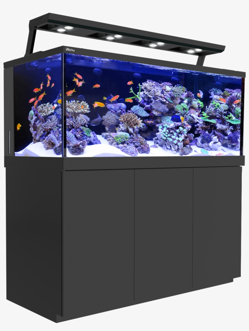 Red Sea Max Eserie, transparent png