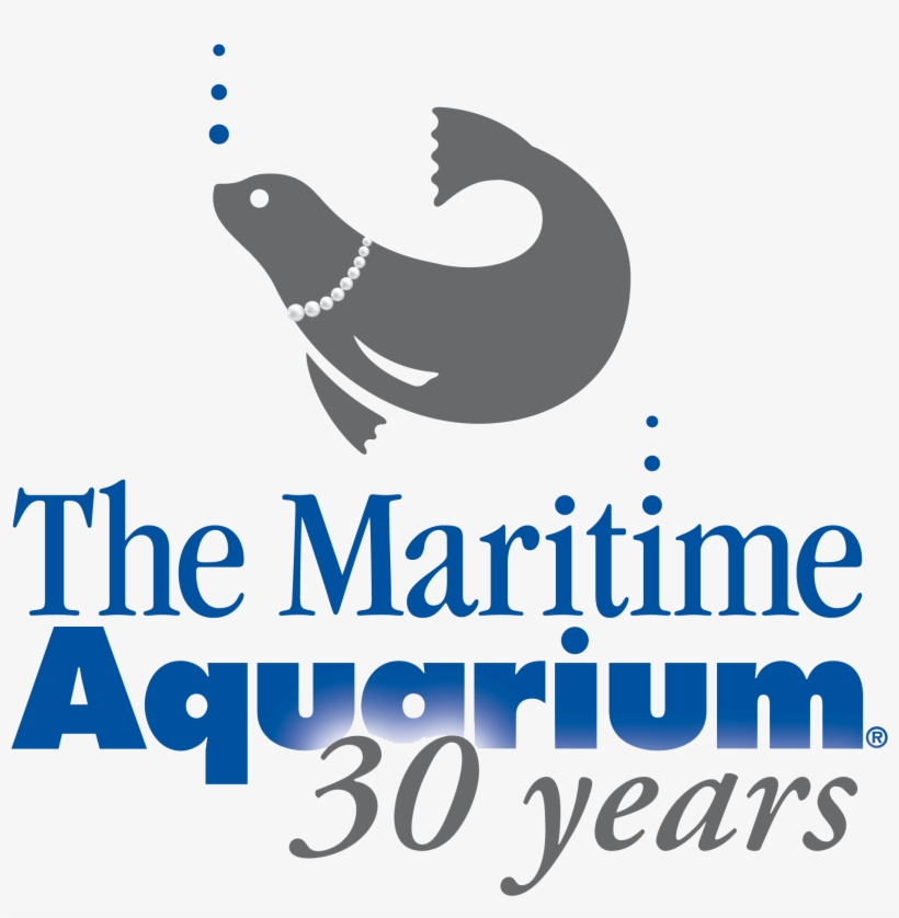 Loading - Norwalk Maritime Aquarium, transparent png