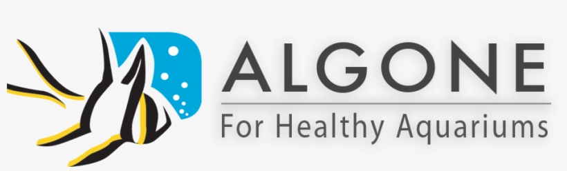 Logo Header Menu - Aquarium Logo Brand, transparent png