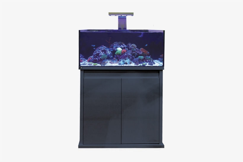D D Reef Pro - Dd Reef Pro 900, transparent png