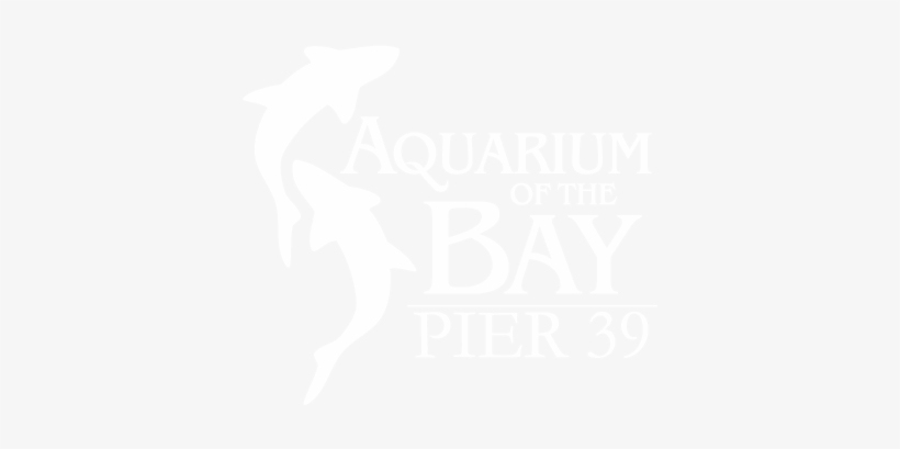 About - Pier 39, transparent png