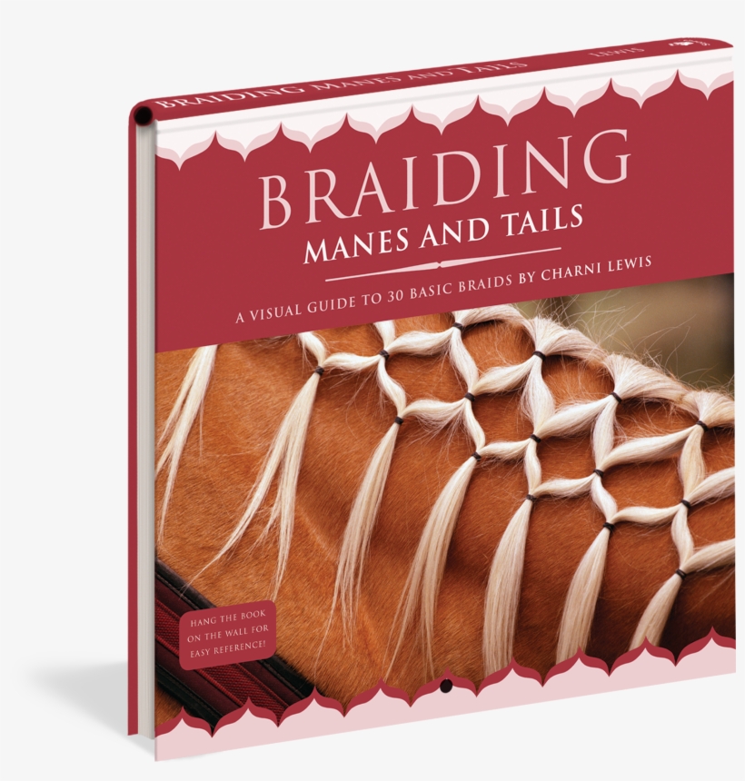 Braiding Manes And Tails - Braiding Manes And Tails A Visual Guide, transparent png