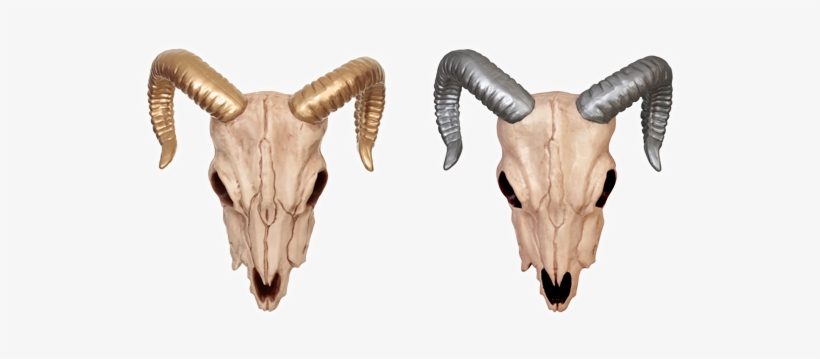 Ram Skull-gold/silver - Ram Skull With Gold Horns 30cm, transparent png