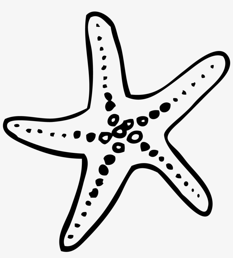 Francis Len Oasis Wedding - Starfish Doodle Png, transparent png