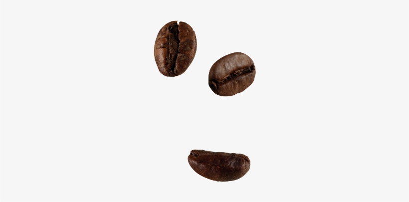 El Aroma De Café Desaparece Rápidamente Después De - Chicchi Di Caffè Png, transparent png