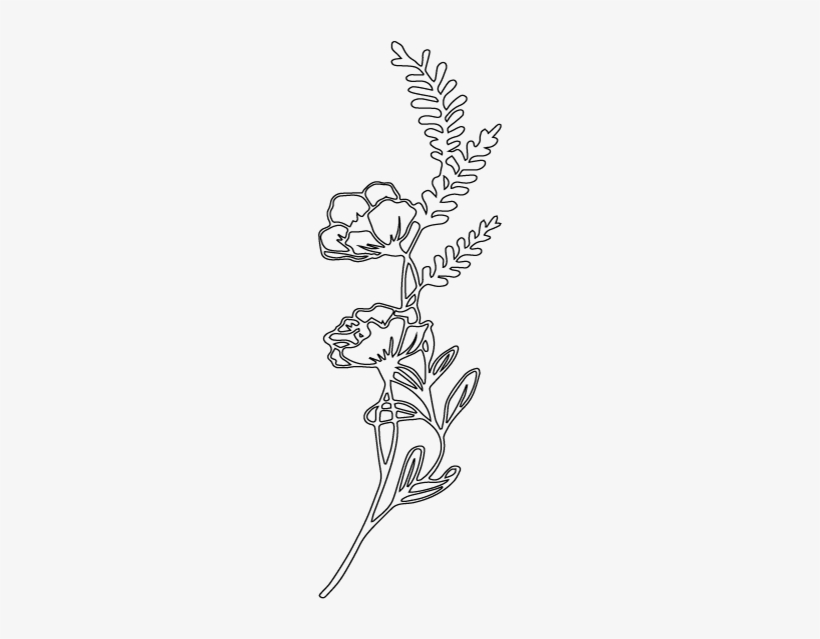 Ashley Trevor Anniversary At The Sand Dunes October - Line Art, transparent png