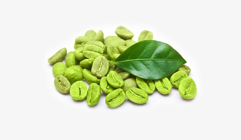 Raspberry Ketones - Green Coffee Bean Png, transparent png