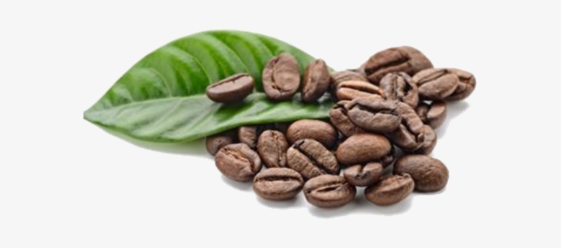 Café Duke Is Born Of The Collaboration Of Npg With - Arabica Coffee Seed Oil, 100% Pure/ Natural., transparent png