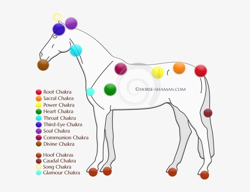 Part - Horse Chakras, transparent png