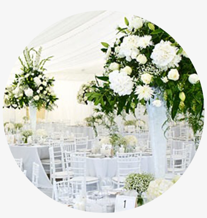 Décor For Any Event Or Occasion Is The Most Important, transparent png