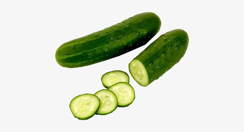 Pepino Png Vagonettas Srbagancia - Semente Pepino Híbrido Kybria F1 1.000 Mx, transparent png