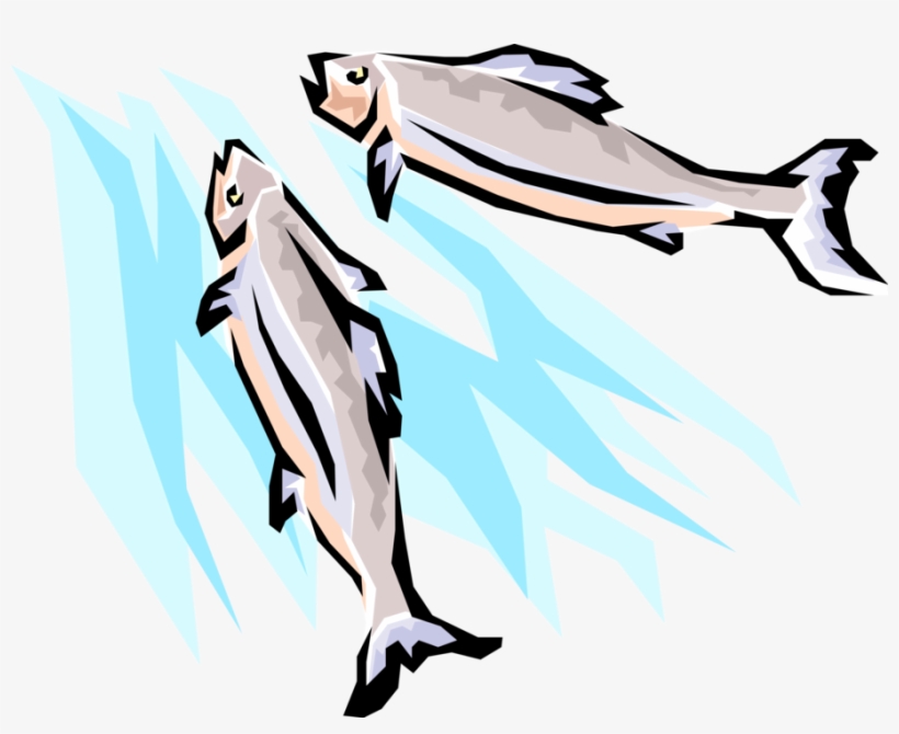 Vector Illustration Of Spawning Salmon Fish Swimming - Clip Art, transparent png