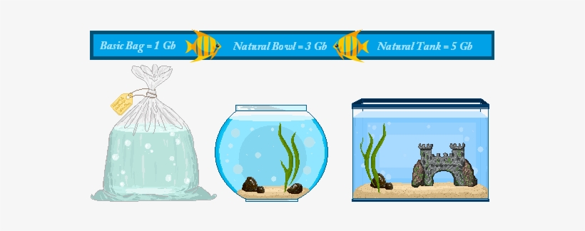 W9e1j6d, transparent png