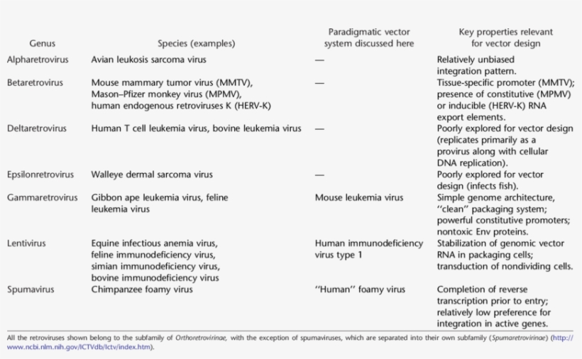 Taxonomy Of The Retroviral Family And Commonly Used - Retrovirus, transparent png