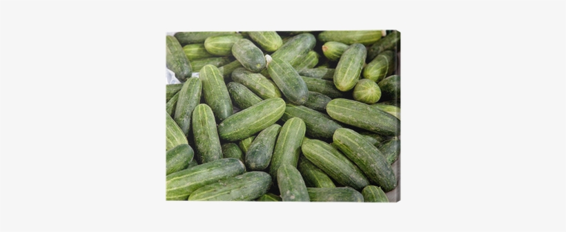 Pepino - Cucumber - Cetriolo - Gurke Canvas Print • - Cucumber, transparent png