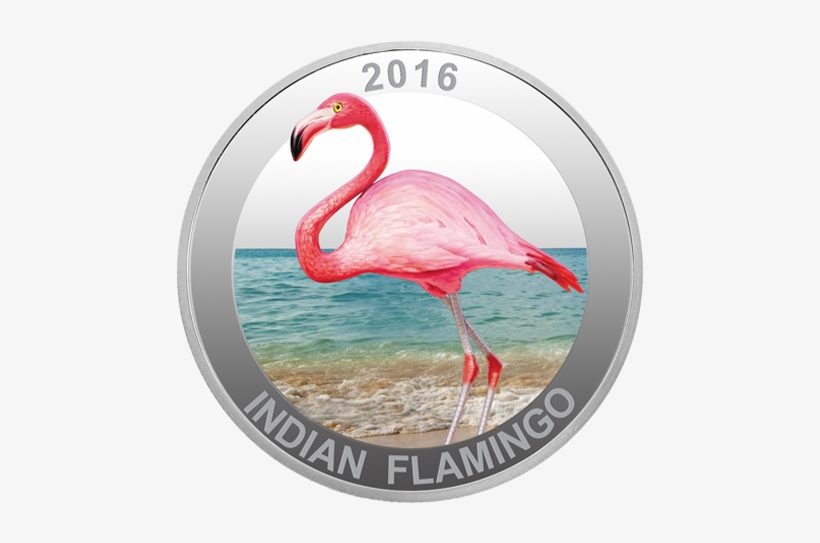 Lunji Self Adhesive Hooks, Cute Animal Shape Nail Free - 30ml Indian Flamingo 999 Silver Coin - Limited Edition, transparent png