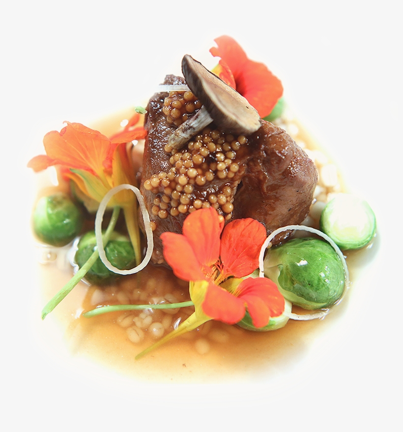 Free Recipes - Haute Cuisine Recipes, transparent png