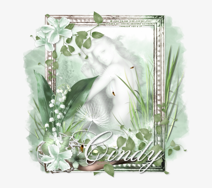 Lily Of The Mist - Picture Frame, transparent png