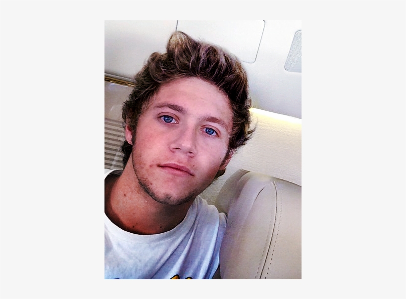 Brunette Niall Is Wow - Niall Beard, transparent png