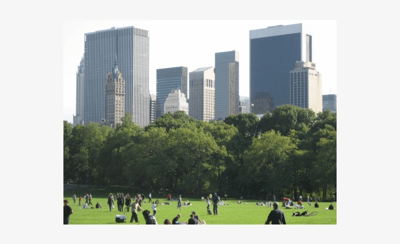 Building A Green Work Space - Central Park, transparent png