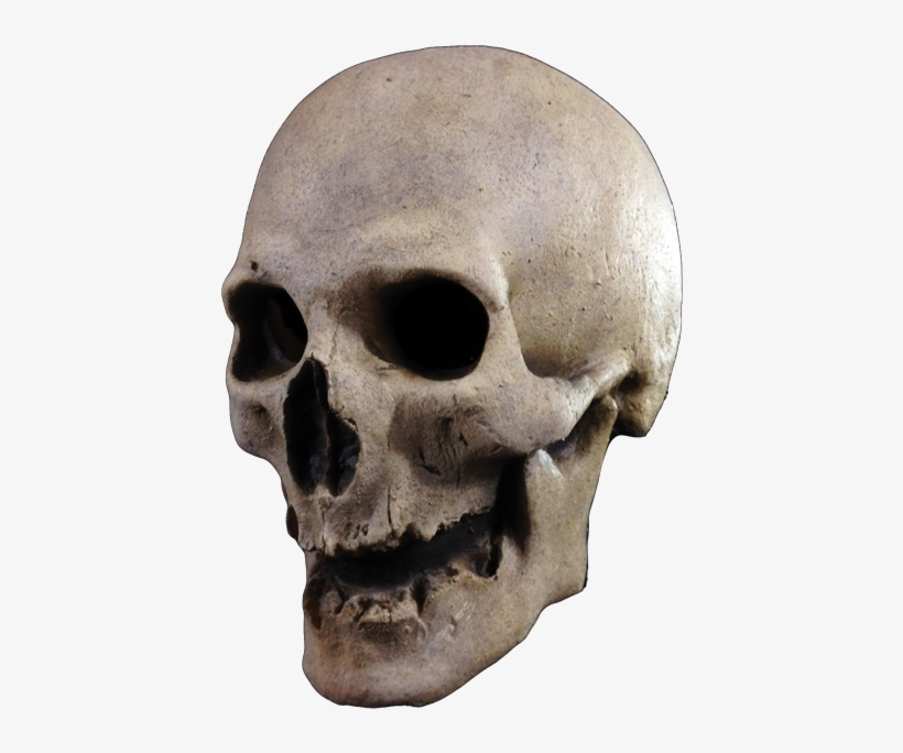 Previous Product Next Product - Trick Or Treat Studios Antique Skull Mask, transparent png