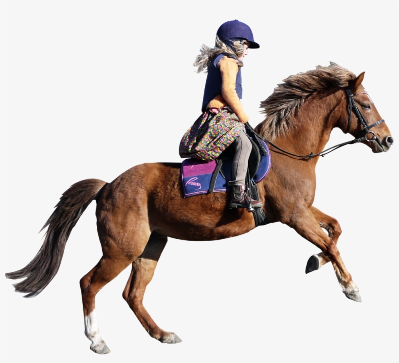 Girl With Horse Png, transparent png