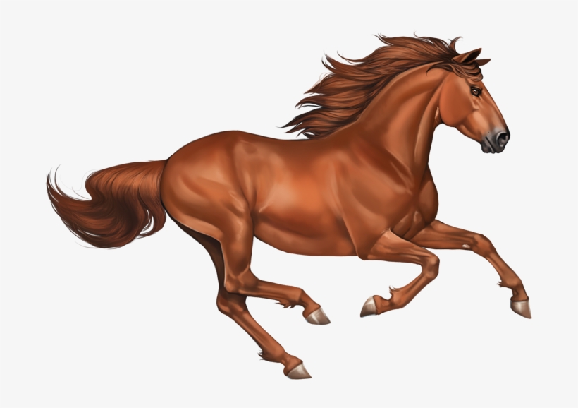 Standardchestnut - Chestnut Horse Png, transparent png