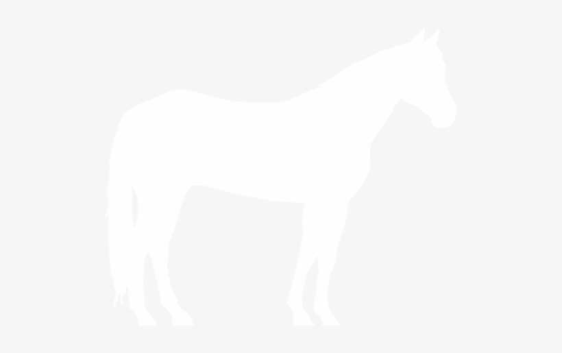 Horse, transparent png