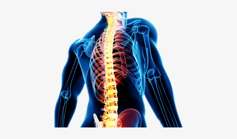 Minimally Invasive Spinal Surgery - Neurosurgery Spine, transparent png