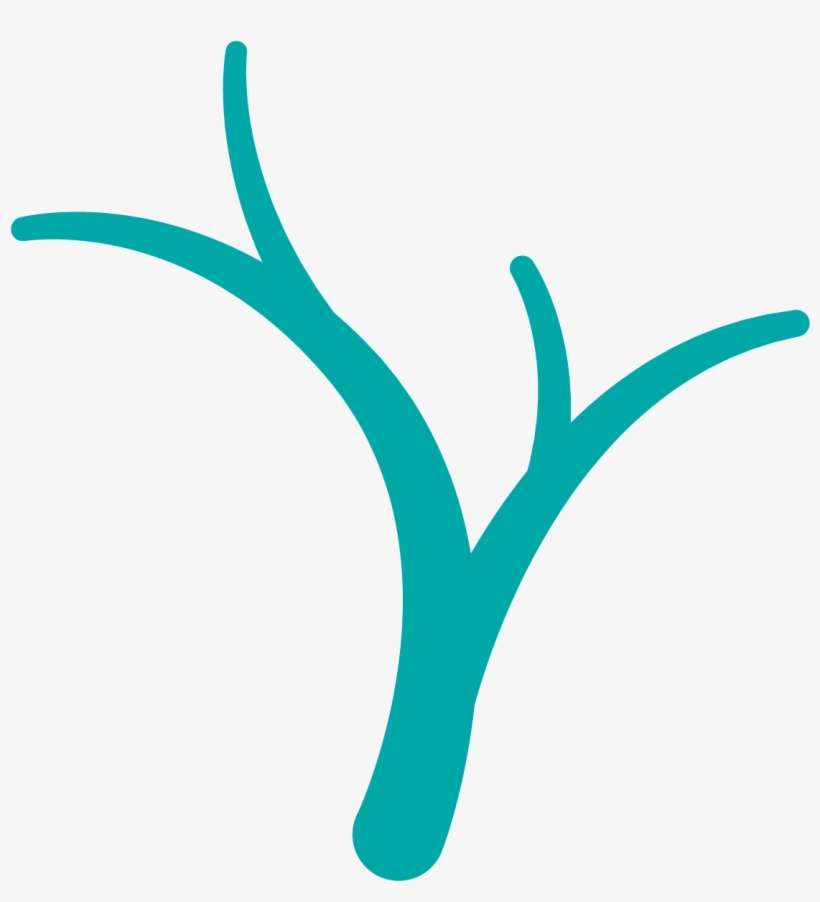 Treatments - Surgery, transparent png
