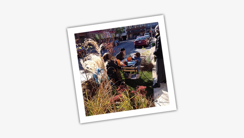 We At Western Landscape Services Are Dedicated To The - Landscaping, transparent png