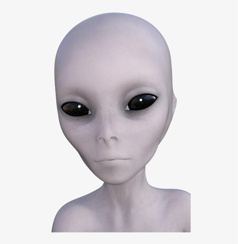 Alien - Say Hello To The Grey Alien Journal (lined Notebook/diary, transparent png
