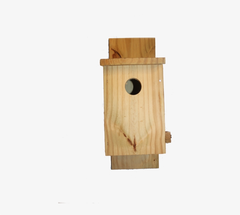 Plywood, transparent png