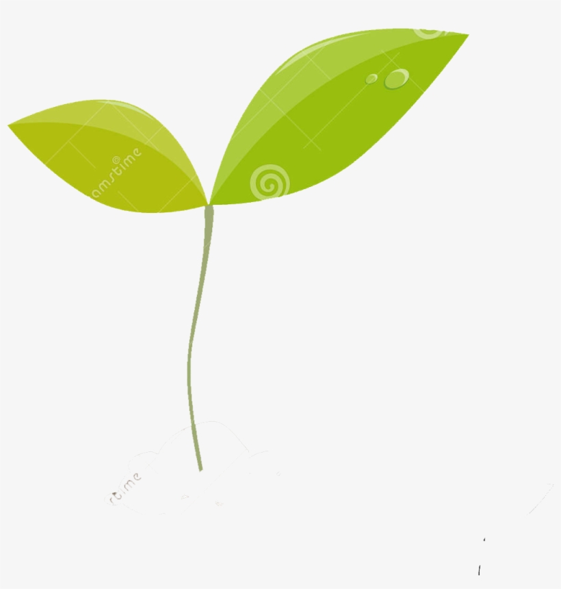 Beaver, Bog, Cattail, Dragonfly, Ecology, Eng, Fen, - Planta Silueta, transparent png