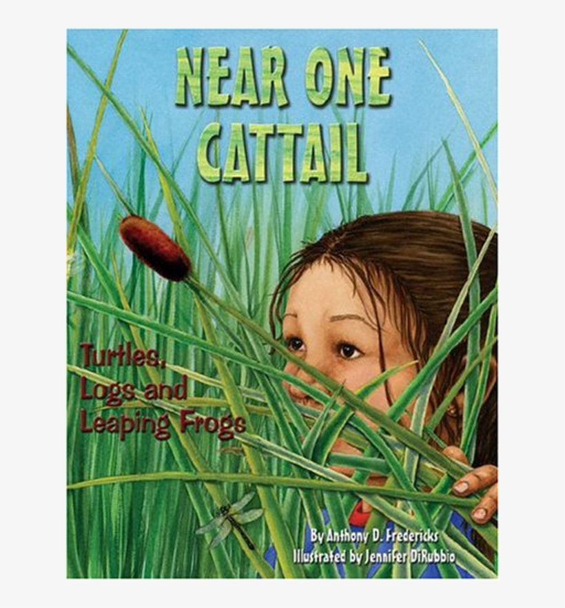 Near One Cattail By Anthony D. Fredericks, transparent png