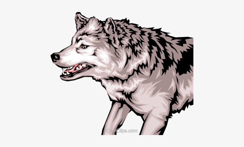 Growling Wolf With Mean Looking Teeth Royalty Free - Fierce Wolf Clipart, transparent png