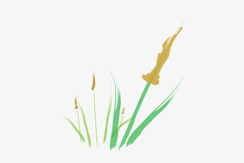 Cattail Abstract Digital Illustration - Illustration, transparent png