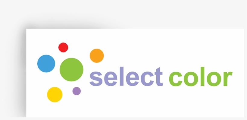 8" Puppy Stuffed Animal Plush Toy Cute Dog For Boys - Rollei Pro Square Holder For Nikon 14 - 24 Mm And 150, transparent png