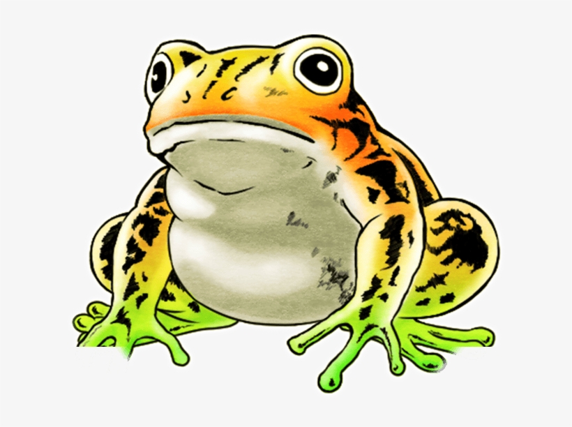 Unit Frog Big White - Frog, transparent png
