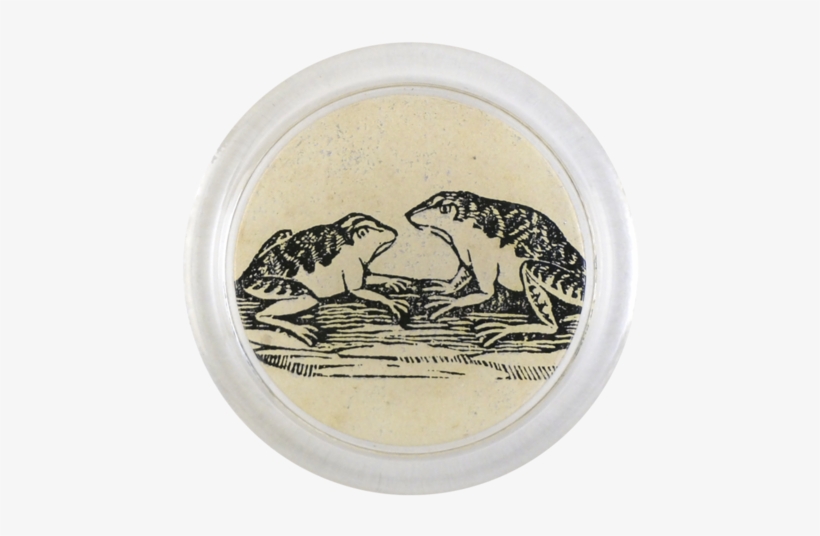 Iconic - Frog - African Elephant, transparent png