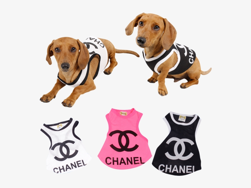 Doguister Polera Chanel - Kompremos.com, transparent png